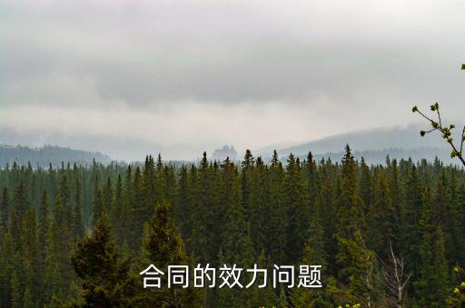 合同的效力問題