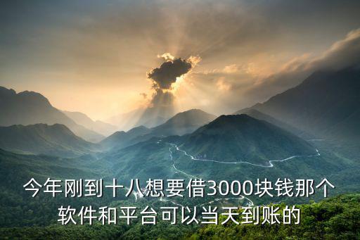 今年剛到十八想要借3000塊錢那個軟件和平臺可以當天到賬的
