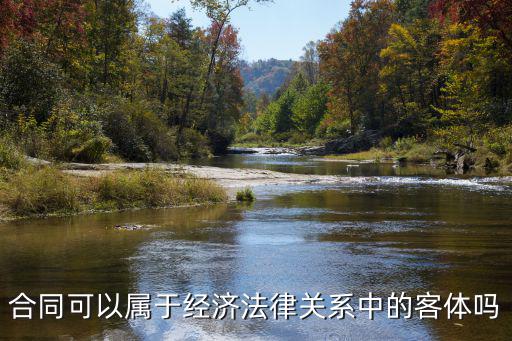 合同法律關(guān)系的客體包括權(quán)利嗎，監(jiān)理合同關(guān)系的客體是什么