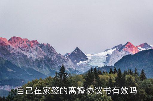 自己在家簽的離婚協(xié)議書有效嗎
