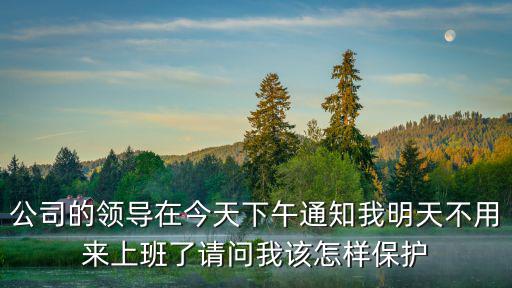 公司的領(lǐng)導(dǎo)在今天下午通知我明天不用來上班了請問我該怎樣保護