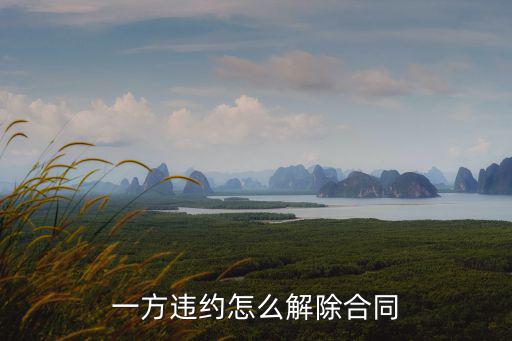 一方違約怎么解除合同