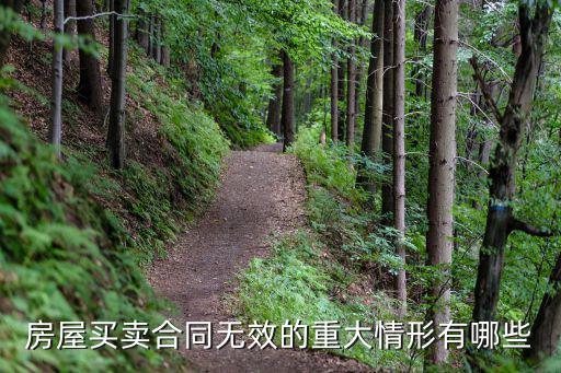 房屋買賣合同的無效情形，買房合同無效的情形