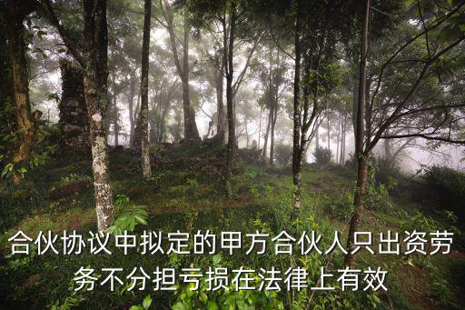 合伙協(xié)議中擬定的甲方合伙人只出資勞務(wù)不分擔(dān)虧損在法律上有效