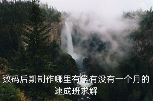 數(shù)碼后期制作哪里有學(xué)有沒(méi)有一個(gè)月的速成班求解
