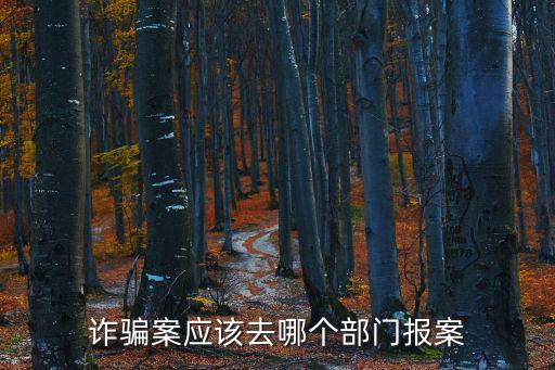 詐騙案應(yīng)該去哪個部門報案