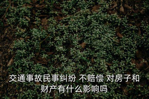 交通事故民事糾紛 不賠償 對(duì)房子和財(cái)產(chǎn)有什么影響嗎