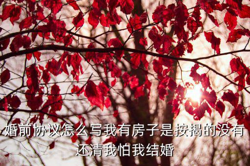 女方不吃虧的婚前協(xié)議，婚前協(xié)議 大家?guī)湍憧纯吹降自撛趺崔k