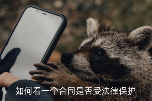 如何看一個合同是否受法律保護(hù)