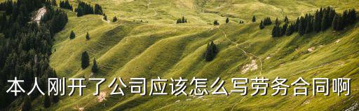 本人剛開了公司應(yīng)該怎么寫勞務(wù)合同啊