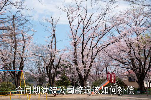 合同期滿被公司辭退該如何補償