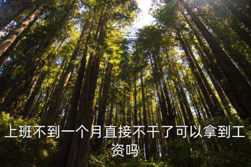 員工直接不干了 老板發(fā)工資嗎，上班不到一個(gè)月直接不干了可以拿到工資嗎