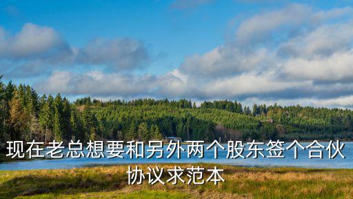 現(xiàn)在老總想要和另外兩個(gè)股東簽個(gè)合伙協(xié)議求范本