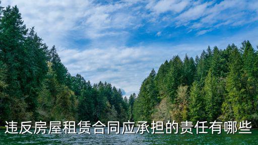 違反房屋租賃合同應(yīng)承擔(dān)的責(zé)任有哪些