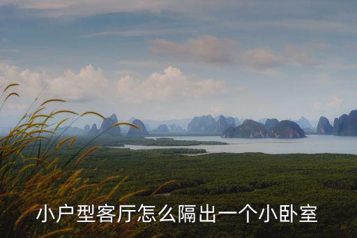 客廳改一個(gè)小房間的隔斷，我想把客廳改成臥室和小客廳不知道用什么隔斷好請(qǐng)各位大神給
