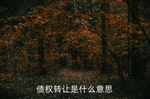 債權(quán)轉(zhuǎn)讓是什么意思