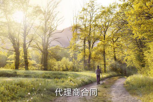代理商合同