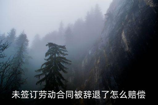 沒有合同被辭退員工如何要求賠償，沒合同被辭退怎么賠償