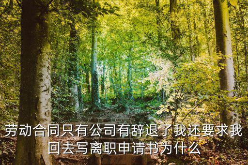 勞動合同只有公司有辭退了我還要求我回去寫離職申請書為什么
