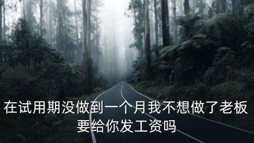 在試用期沒做到一個(gè)月我不想做了老板要給你發(fā)工資嗎