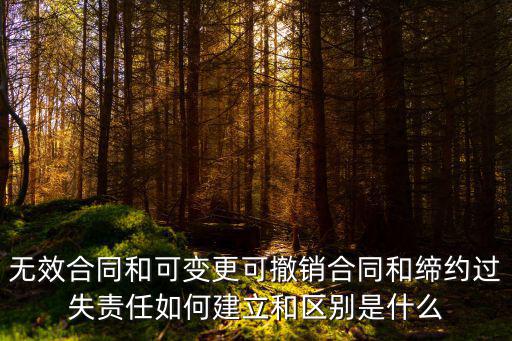 無(wú)效合同和可變更可撤銷(xiāo)合同和締約過(guò)失責(zé)任如何建立和區(qū)別是什么