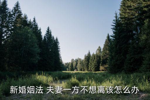 新民法典婚姻法一方不離，新婚姻法一方不同意離婚財(cái)產(chǎn)怎么分割