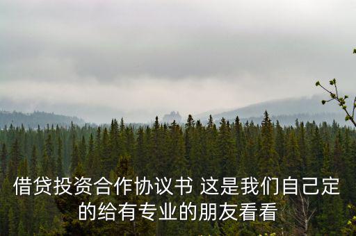 借貸投資合作協(xié)議書 這是我們自己定的給有專業(yè)的朋友看看