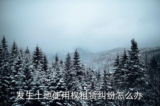 發(fā)生土地使用權(quán)租賃糾紛怎么辦