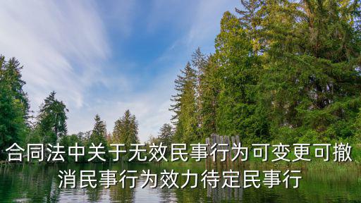 合同法中關(guān)于無效民事行為可變更可撤消民事行為效力待定民事行