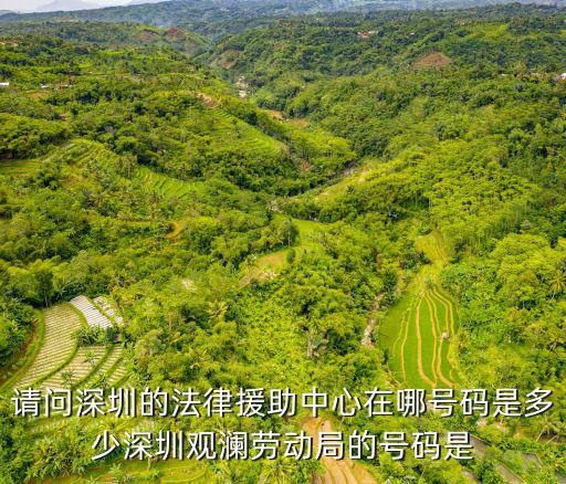 請(qǐng)問(wèn)深圳的法律援助中心在哪號(hào)碼是多少深圳觀瀾勞動(dòng)局的號(hào)碼是