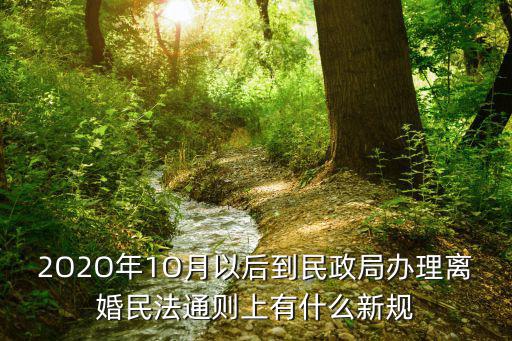 2O2O年1O月以后到民政局辦理離婚民法通則上有什么新規(guī)