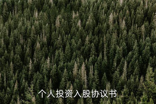 個人對個人資金投資合同，個人投資協(xié)議書 請問下面這個投資協(xié)議書有效嗎