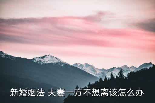 新婚姻法 夫妻一方不想離該怎么辦