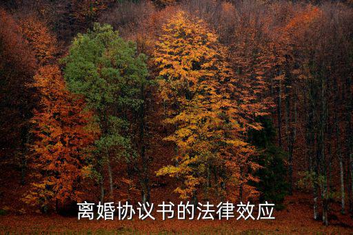離婚協(xié)議書的法律效應(yīng)