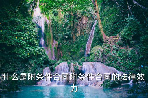 什么是附條件合同附條件合同的法律效力