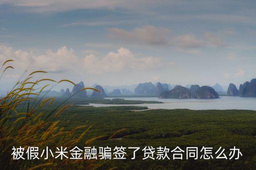 被假小米金融騙簽了貸款合同怎么辦