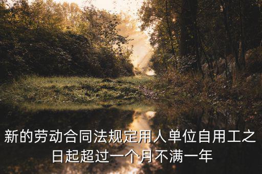 新的勞動合同法規(guī)定用人單位自用工之日起超過一個月不滿一年