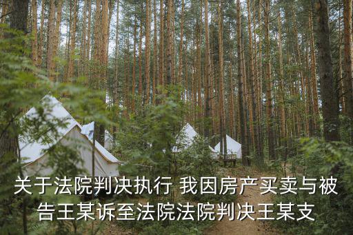 關(guān)于法院判決執(zhí)行 我因房產(chǎn)買賣與被告王某訴至法院法院判決王某支