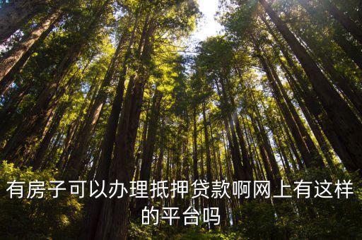 有房子可以辦理抵押貸款啊網(wǎng)上有這樣的平臺嗎
