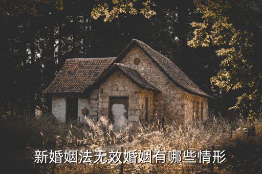 新婚姻法無效婚姻有哪些情形
