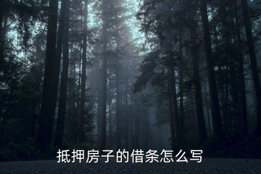 抵押房子的借條怎么寫