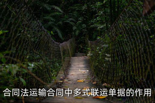 合同法運(yùn)輸合同中多式聯(lián)運(yùn)單據(jù)的作用