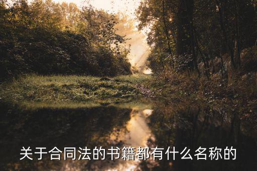 關(guān)于合同法的書籍都有什么名稱的