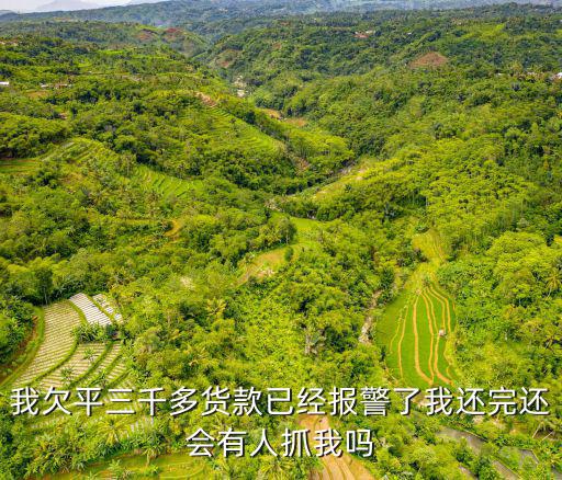 我欠平三千多貨款已經(jīng)報警了我還完還會有人抓我嗎