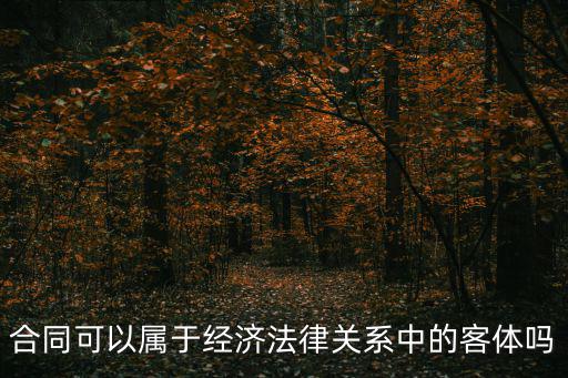 合同可以屬于經(jīng)濟(jì)法律關(guān)系中的客體嗎