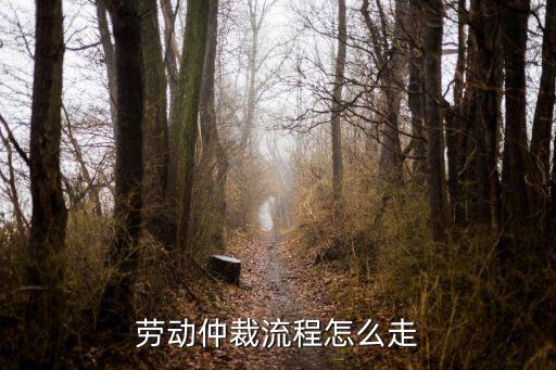勞動(dòng)仲裁流程怎么走