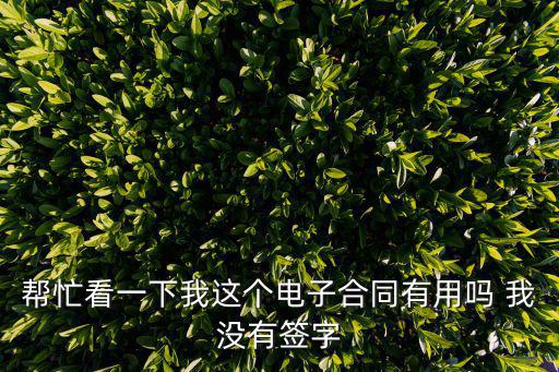 幫忙看一下我這個(gè)電子合同有用嗎 我沒有簽字