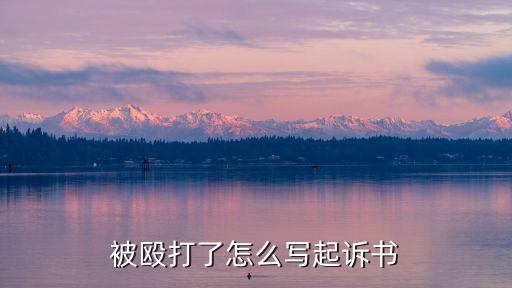 被毆打了怎么寫起訴書