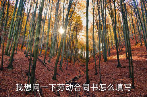 我想問一下勞動(dòng)合同書怎么填寫