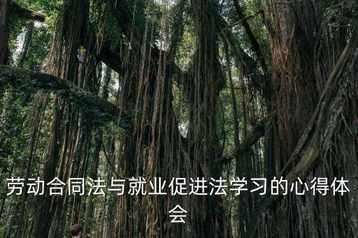 勞動(dòng)合同法與就業(yè)促進(jìn)法學(xué)習(xí)的心得體會